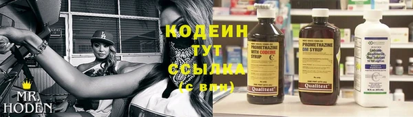 прущие грибы Белокуриха
