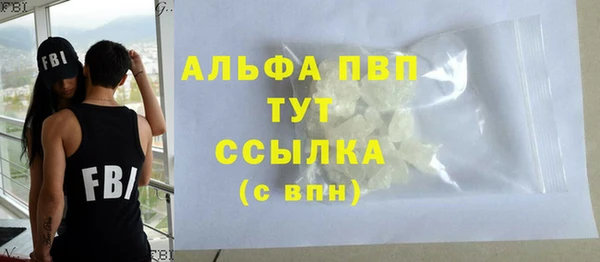 прущие грибы Белокуриха
