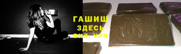 прущие грибы Белокуриха