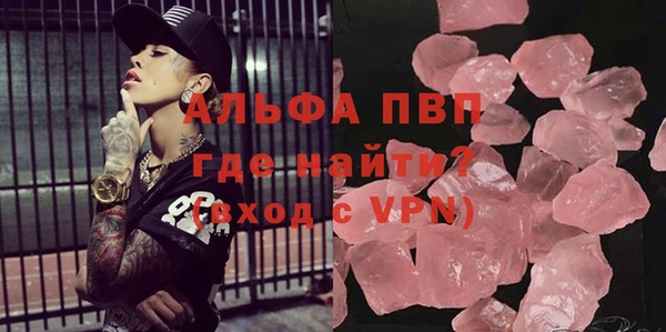 прущие грибы Белокуриха