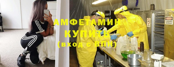 прущие грибы Белокуриха