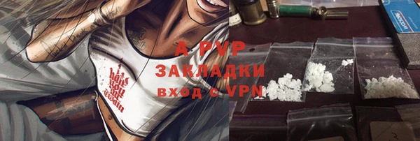 прущие грибы Белокуриха