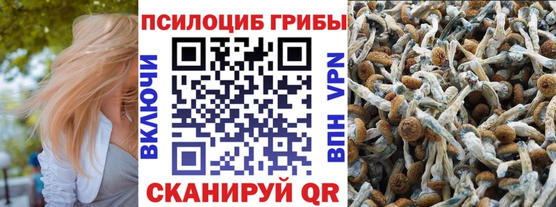 Псилоцибиновые грибы мицелий  Чистополь 